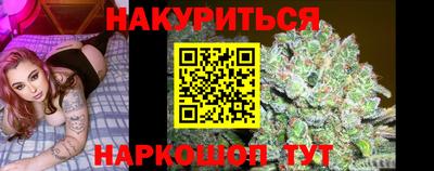 гидра Тверь