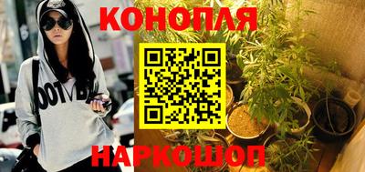 гидра Тверь