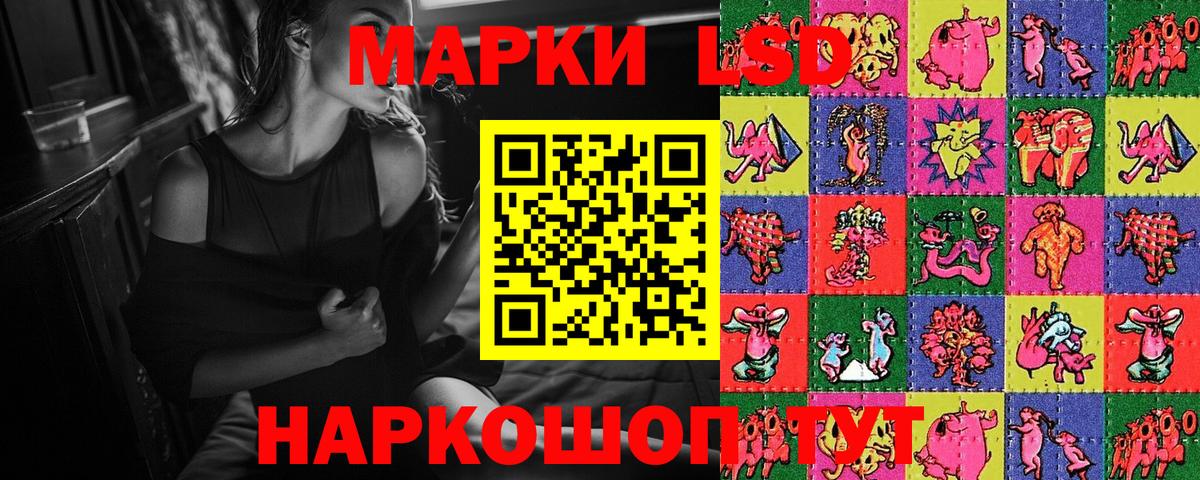 Псилоцибиновые грибы Кропоткин
