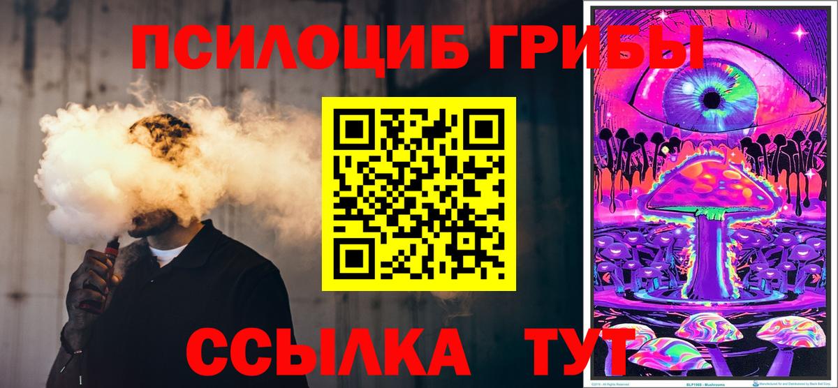 Кропоткин  Псилоцибиновые грибы прущие грибы  Вход с VPN 